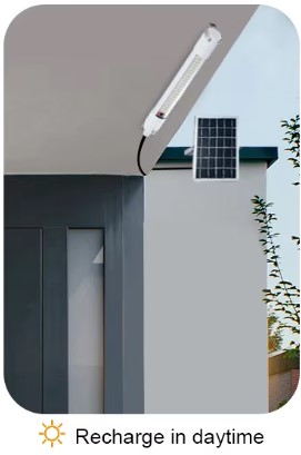 LAMP-009 — Lampe tube Raytube 100w